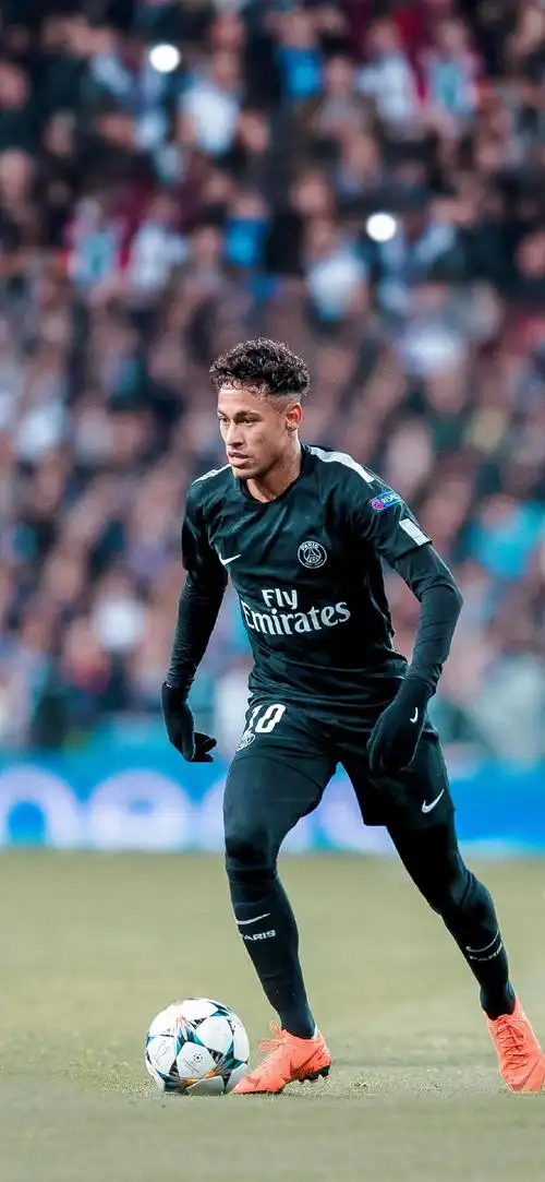 们架构起的 们架构起的